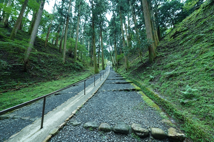 京都一周トレイル_北山編_2021　No106