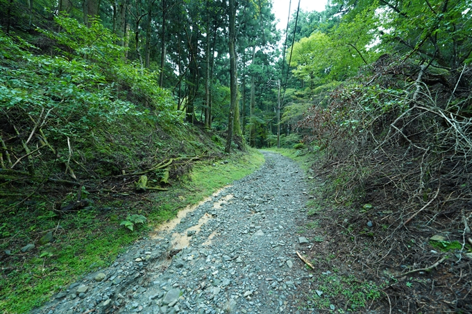 京都一周トレイル_北山編_2021　No115