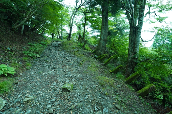 京都一周トレイル_東山編_2021　No3