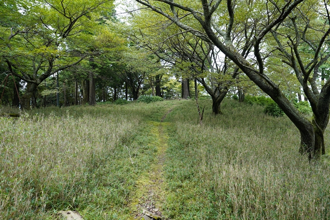 京都一周トレイル_東山編_2021　No8