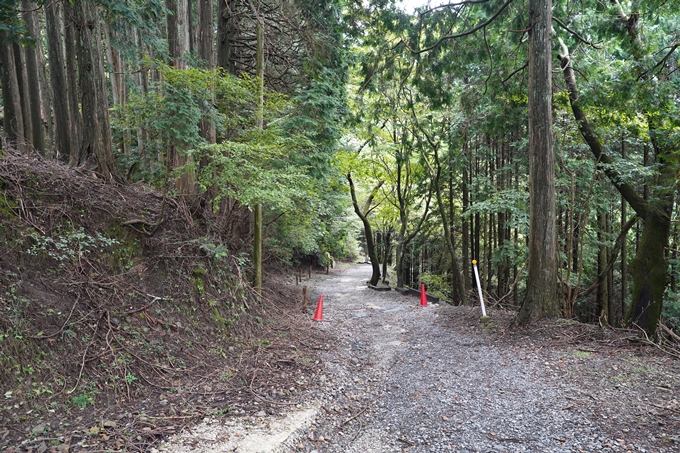 京都一周トレイル_東山編_2021　No17