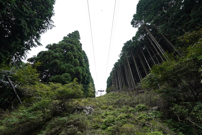 京都一周トレイル_東山編_2021　No18