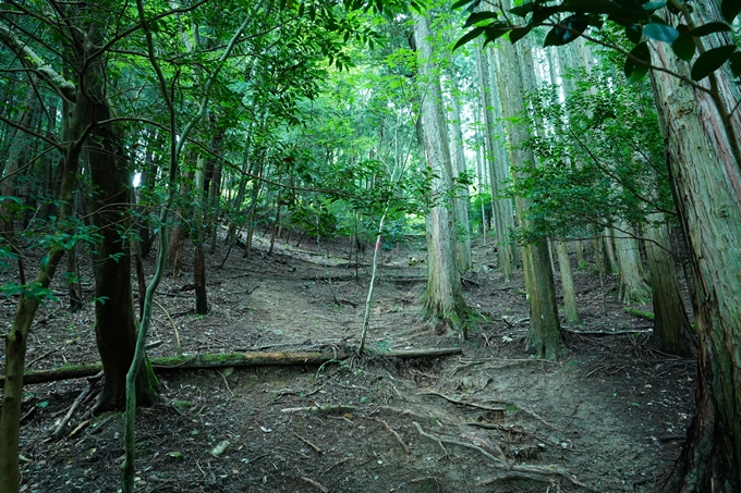 京都一周トレイル_東山編_2021　No54