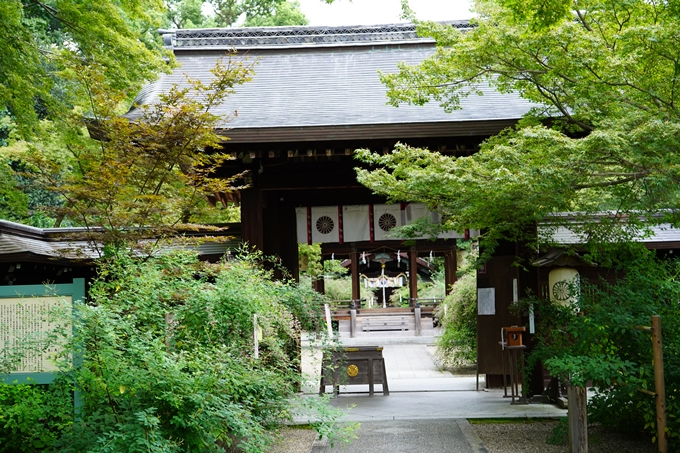 梨木神社_萩_2021　No13