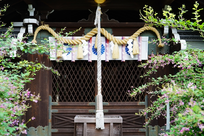 梨木神社_萩_2021　No16