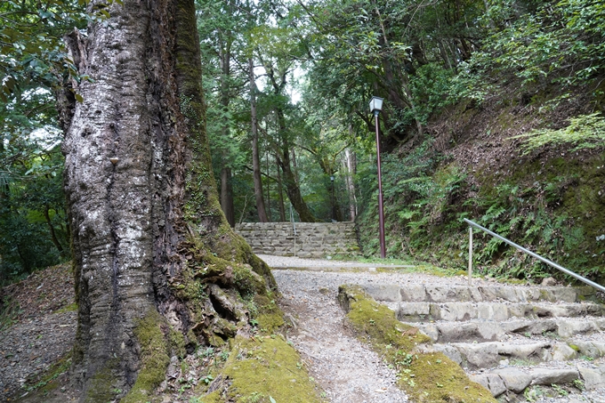 元伊勢_皇大神社　No14