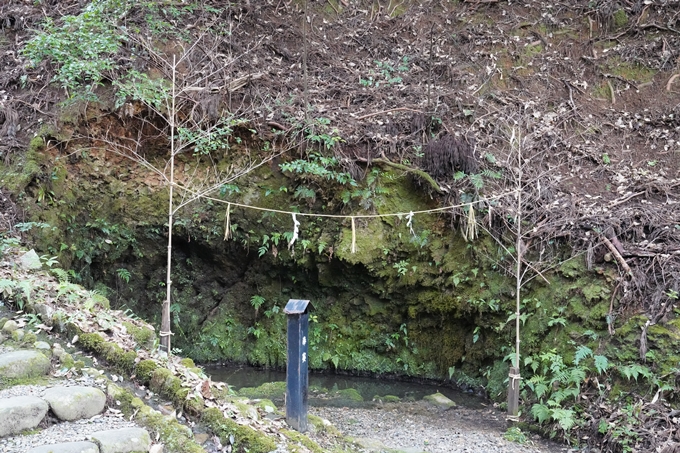 元伊勢_皇大神社　No18