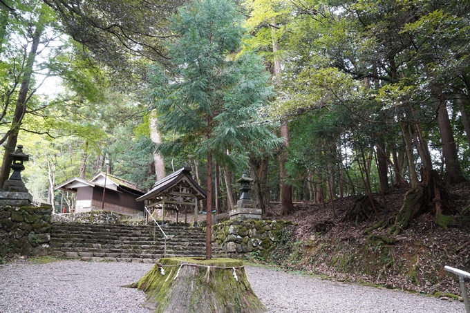 元伊勢_皇大神社　No19