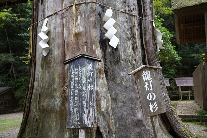 元伊勢_皇大神社　No38