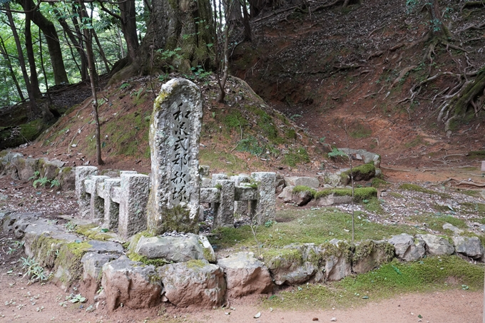 元伊勢_皇大神社　No54