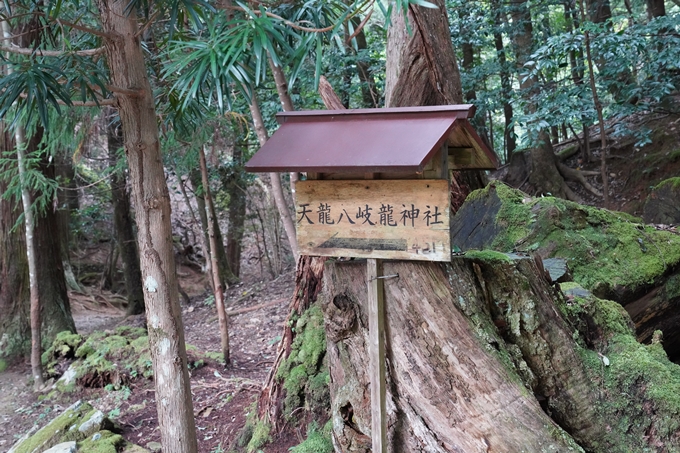 元伊勢_皇大神社　No56