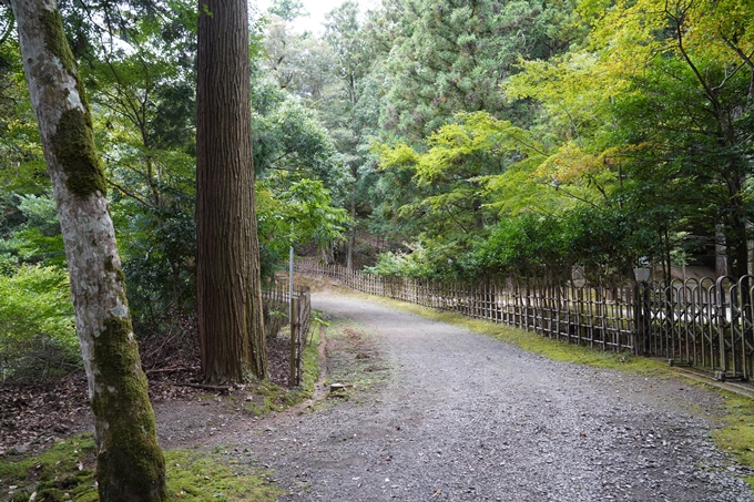 元伊勢_天岩戸神社　No3