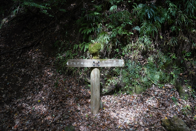 元伊勢_天岩戸神社　No8