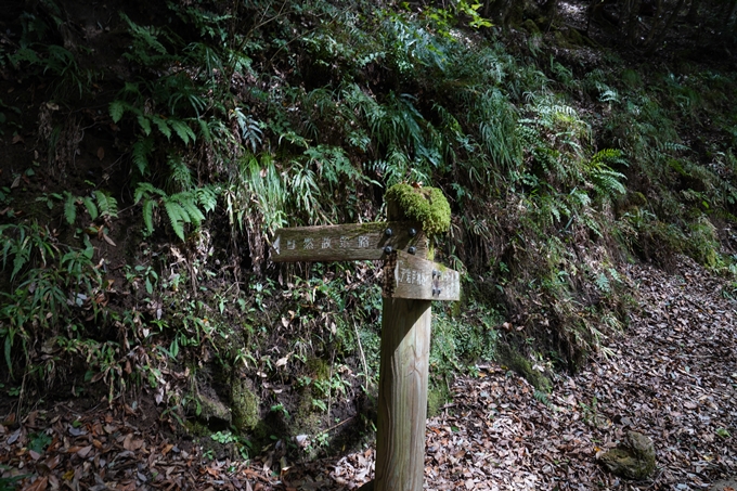 元伊勢_天岩戸神社　No9