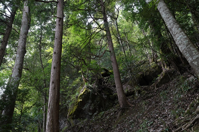 元伊勢_天岩戸神社　No12