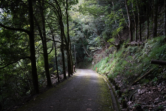 元伊勢_天岩戸神社　No13