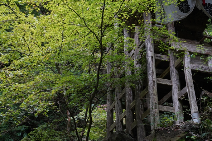 元伊勢_天岩戸神社　No39