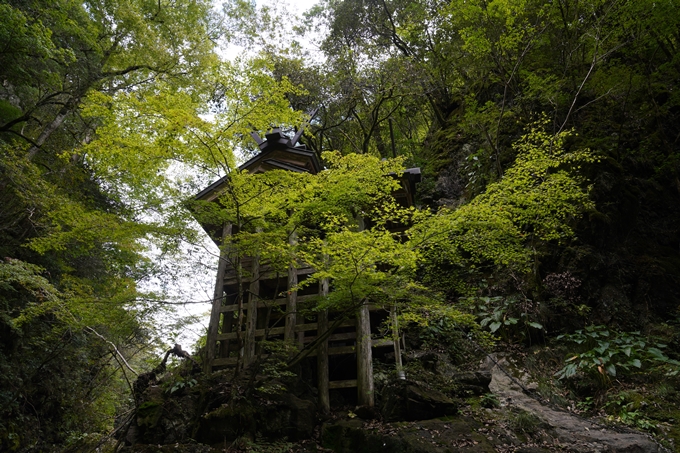 元伊勢_天岩戸神社　No41