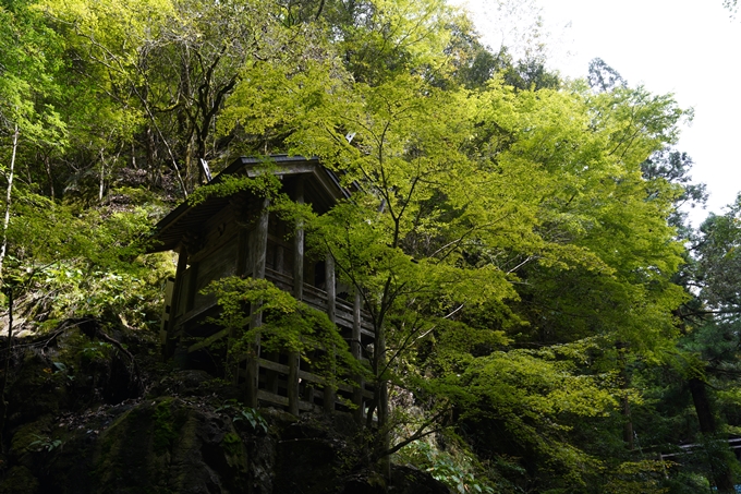 元伊勢_天岩戸神社　No43