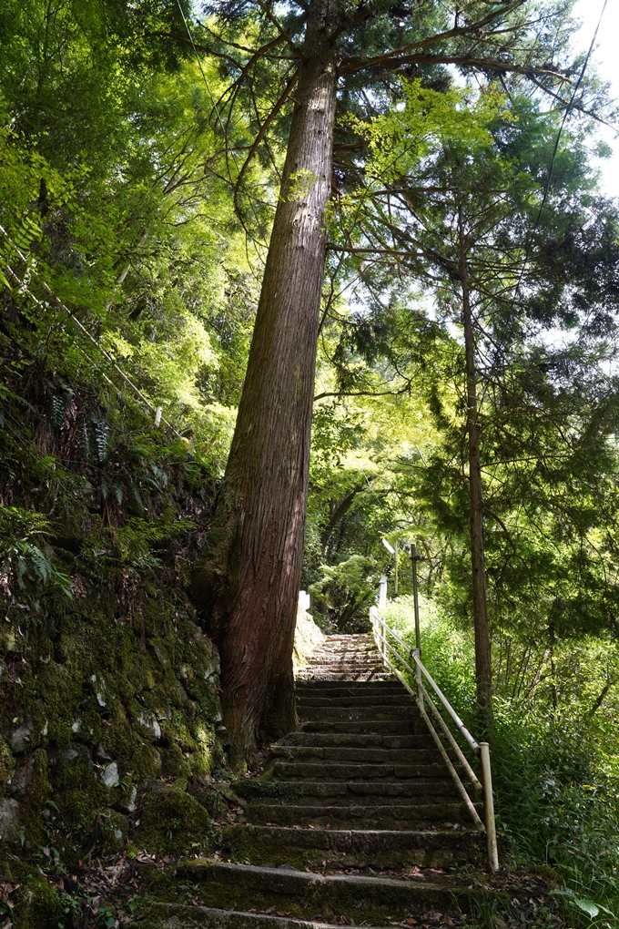 元伊勢_天岩戸神社　No48