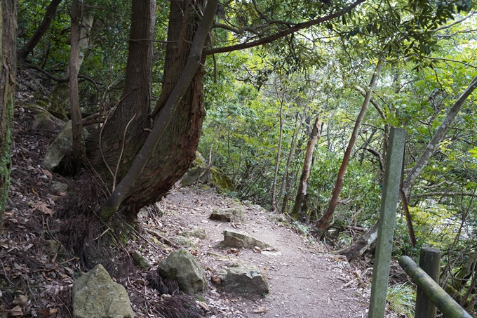 二瀬川渓流_新童子橋　No6