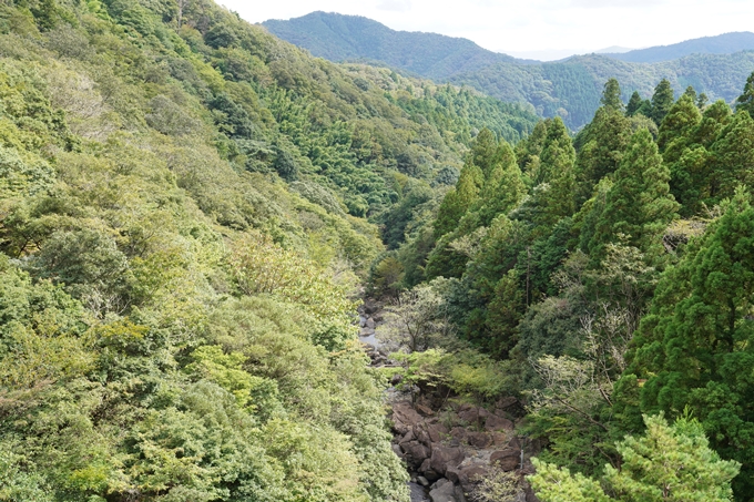 二瀬川渓流_新童子橋　No18