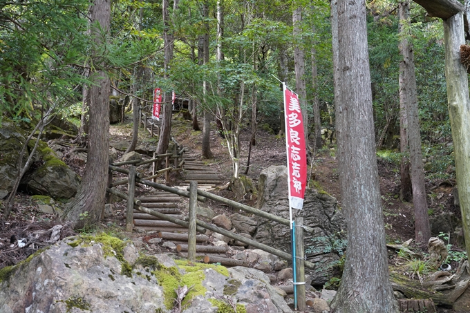 二瀬川渓流_新童子橋　No25