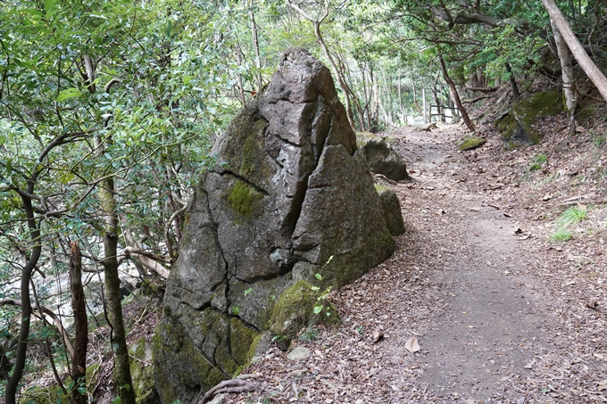 二瀬川渓流_新童子橋　No36