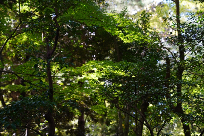 番外編_石川県　兼六園　No22