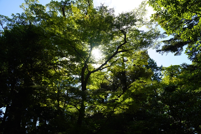 番外編_石川県　兼六園　No23