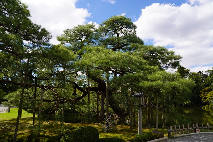 番外編_石川県　兼六園　No34