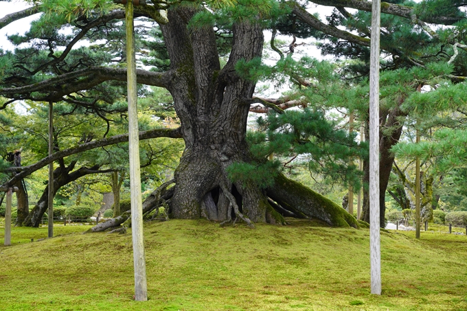 番外編_石川県　兼六園　No51