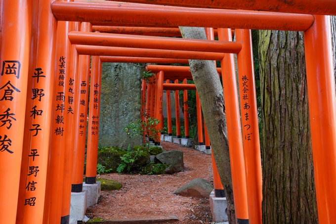 番外編_石川県　金沢 21世紀美術館　No44