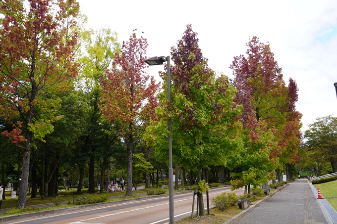 番外編_石川県　ひがし茶屋街　No7