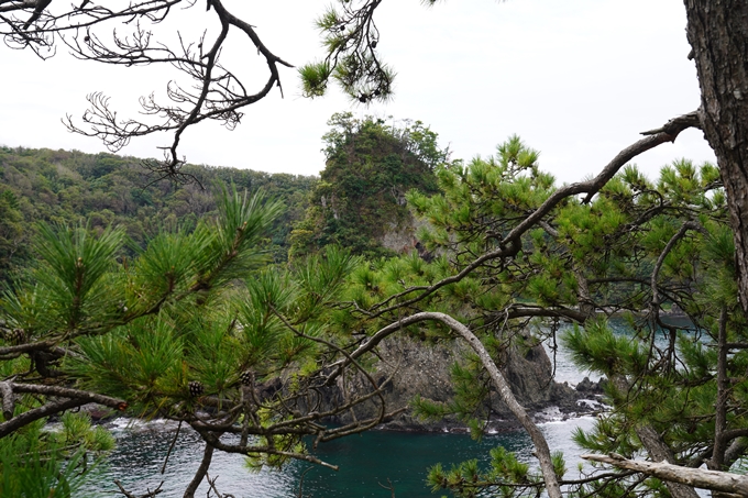 番外編_石川県　千枚田　No15