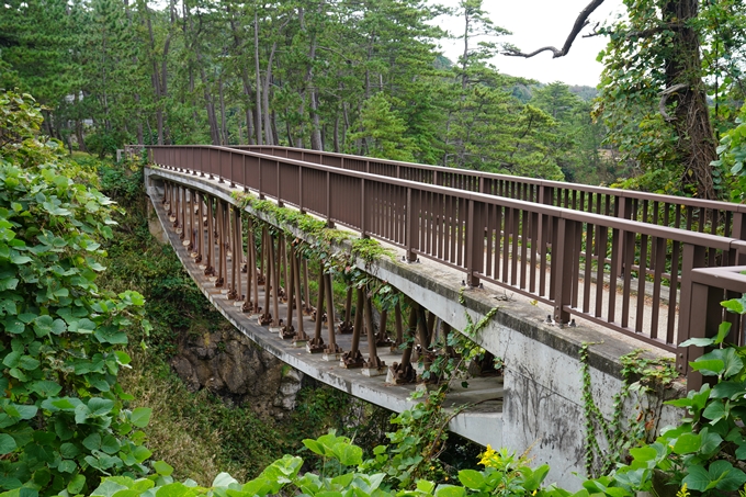 番外編_石川県　千枚田　No32