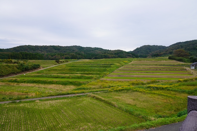 番外編_石川県　千枚田　No46