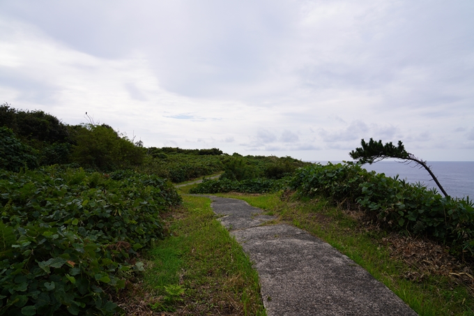 番外編_石川県　千枚田　No57