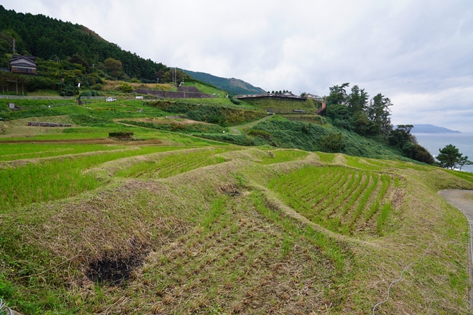 番外編_石川県　千枚田　No89