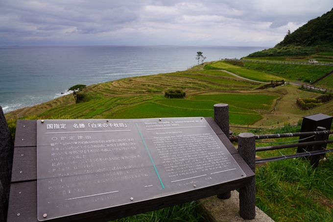 番外編_石川県　千枚田　No91