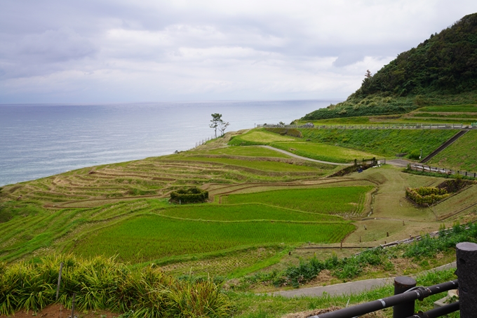 番外編_石川県　千枚田　No92