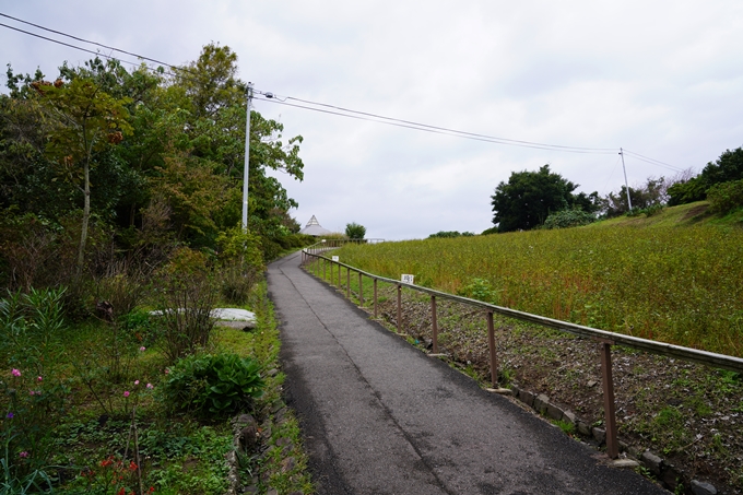 番外編_石川県　禄剛崎・須須神社　No31