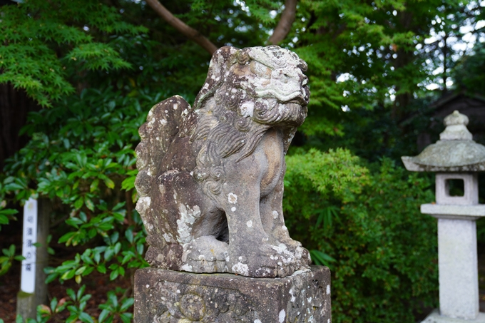 番外編_石川県　禄剛崎・須須神社　No57