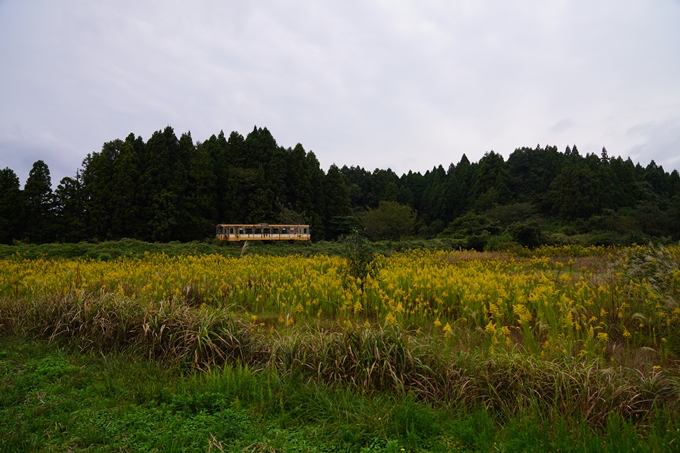 番外編_石川県　禄剛崎・須須神社　No72