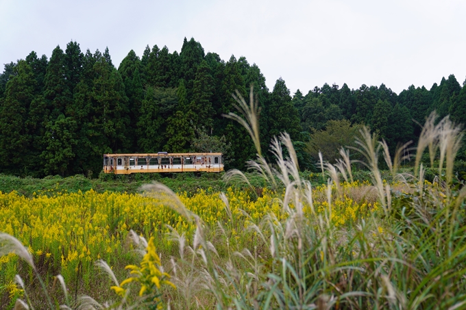 番外編_石川県　禄剛崎・須須神社　No79