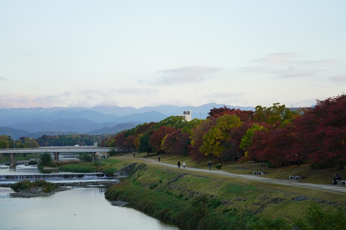 朝の鴨川_2021　No4