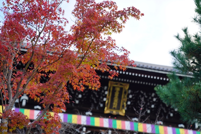 京都の紅葉_2021_01　金戒光明寺_真如堂　No3