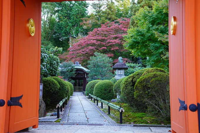 京都の紅葉_2021_01　金戒光明寺_真如堂　No12