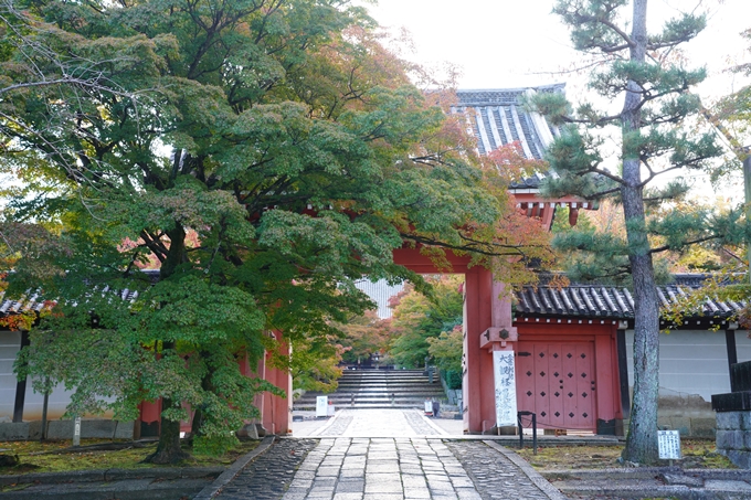 京都の紅葉_2021_01　金戒光明寺_真如堂　No15