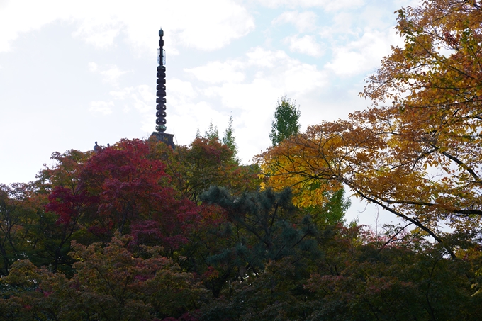 京都の紅葉_2021_01　金戒光明寺_真如堂　No16